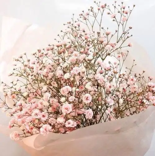 既然目标是地平线留给世界的只能是背影