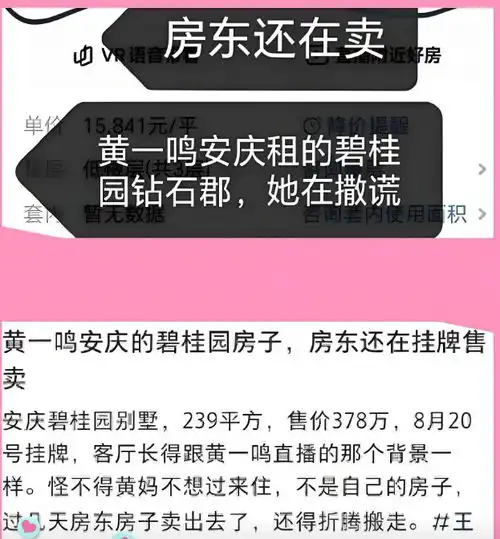 反转黄一鸣被曝王思聪300万认娃送别墅是假,卖房图片揭穿