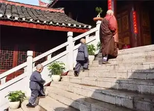 西来寺的小修行者