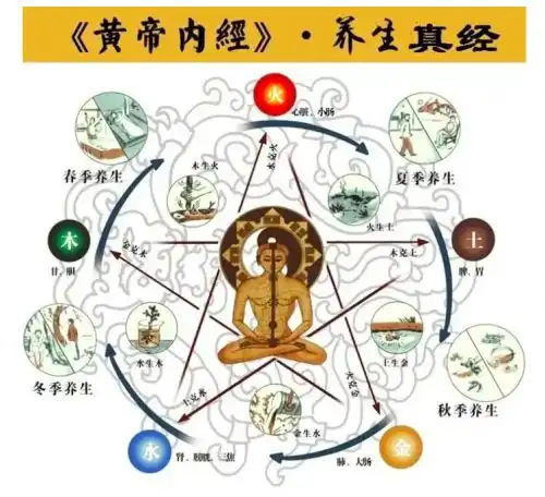 德辰堂六代中医传承人王新医生谈秋燥