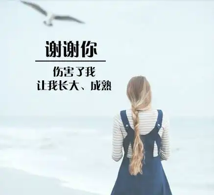 感恩节,你最想感谢谁我想谢谢你们
