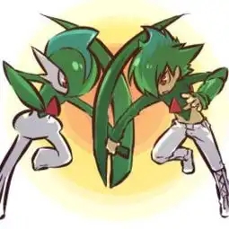 像双胞胎