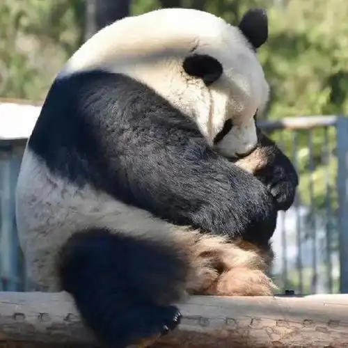 是时候,换新微信头像了