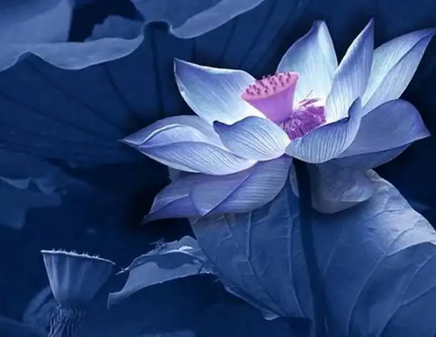 终有奇迹借助现代化的网络工具,让你快速积累阴德改变命运的好方法
