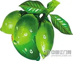 我市槟榔零食不受宠