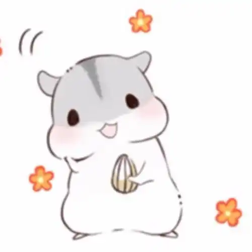 会说话的猫节目海棠不言高音质在线试听会说话的猫节目歌词歌曲下载酷狗音乐