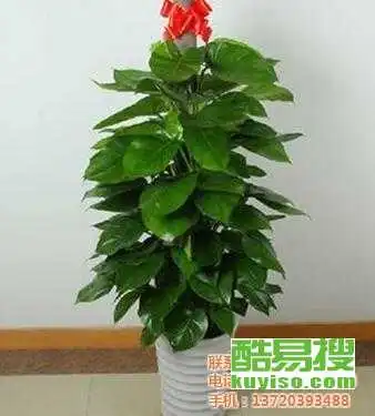 武汉酷易搜