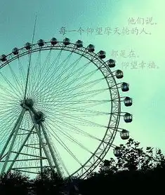 求蜂蜜与四叶草里面摩天轮的图片