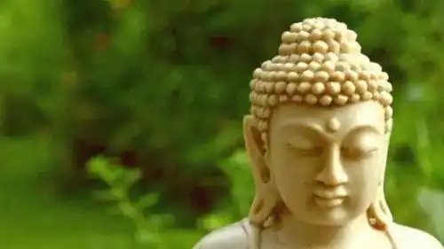 佛是什么三句话就可以说透彻,希望你不要错得离谱