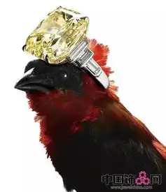 动物也爱美,佩戴珠宝首饰的画风也很绚丽