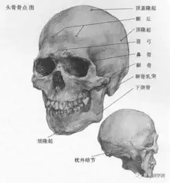 杨幂和刘亦菲的骨相差别在哪为什么张柏芝这样的经典美人都是骨相美