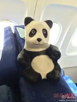 千只纸熊猫空降香港众星卖萌合影倡环保