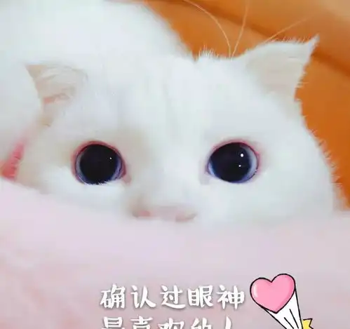猫咪被宠坏的4种表现请别再惯着了,它已经不把你放在眼里了
