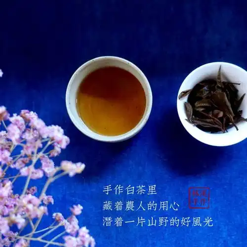 老白茶的功效作用老白茶有去火的功效作用么