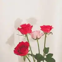 微信头像有代表意义的图片微信头像图片大全