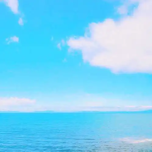 从生到死有多远