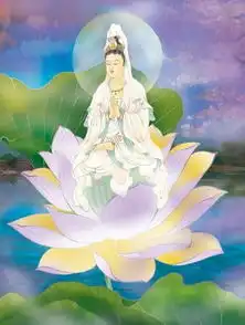 佛教为何独独选择了莲花