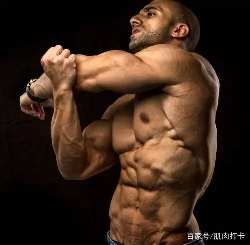 如何摆脱腰腹赘肉并且强化腹肌,这个冷门的动作你一定要做