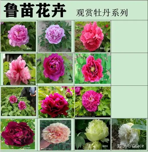 育苗培花增福世间