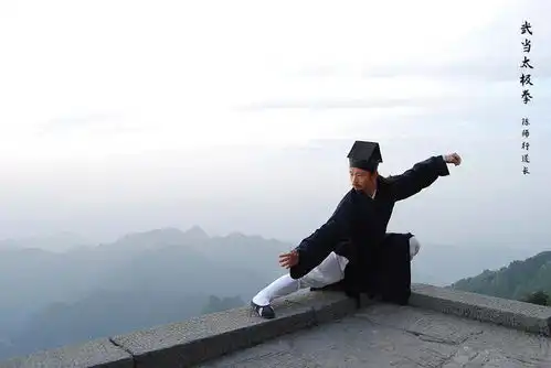 太极拳,拳理胜过拳架
