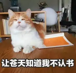 当代大学生期末考苟活指南