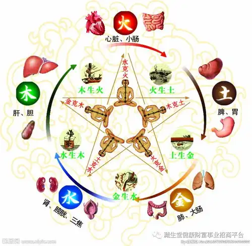 泡脚木桶五行的关系