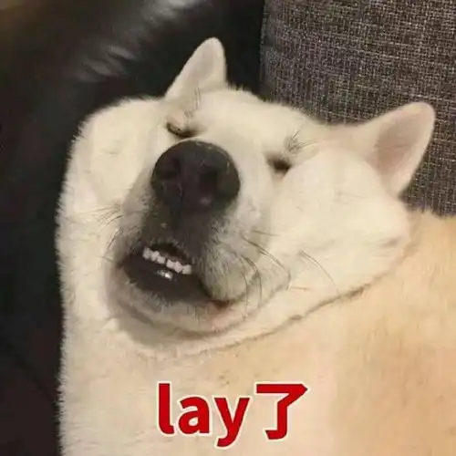 测试一个超长简介的文章