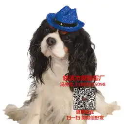 宠物猫咪帽子价格宠物狗帽子批发价格宠物猫咪帽子定做聚聪帽厂