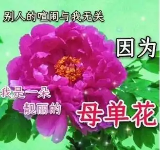 舔狗日记,舔狗的世界有多惨