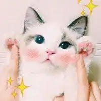 测试一个超长简介的文章