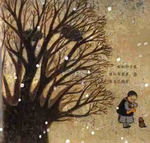 禅意绘本盛夏清晨,莲花盛开