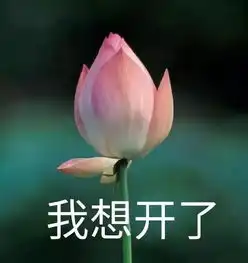 你记住了库日天的三节41分,而我却无法忘掉那个男人眼里的热泪