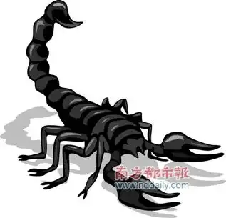 煲蝎子汤手指遭蜇伤