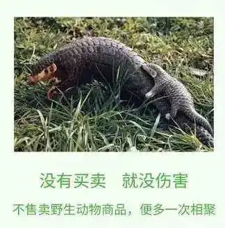 电商平台公开售野,野生动物交易为何屡禁不止