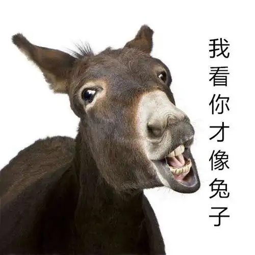 在全运村丢个小毛驴试试分分钟找回来