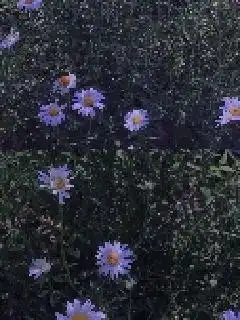 原来最好是我们狗头皇帝著都市言情小说花语女生网