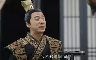 军师联盟收官专家解析真实司马懿曹操