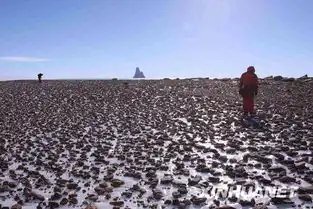 南极格罗夫山景观