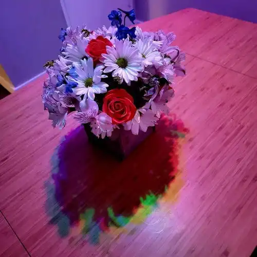 15次偶然的艺术让我们大吃一惊