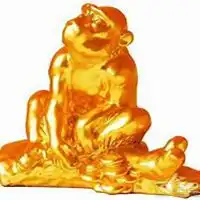 属猴人最旺运的微信头像微信头像图片大全