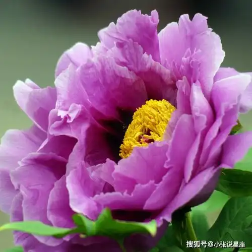 未来一周,烦恼消散,好事也随之来临的3大星座,将迈向成功