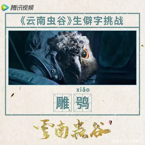 朋友来一场说走就走的云南虫谷之旅吗