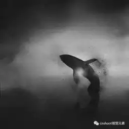 印尼插画师eliciaedijanto的黑白水彩画
