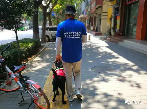 你是我的眼导盲犬黑妹的故事