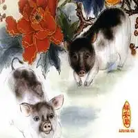 属猪的用什么头像好微信头像图片大全
