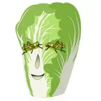 用白菜当微信头像微信头像图片大全