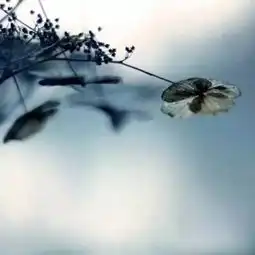 长安夜书房爱的相对论谢谢你离开我