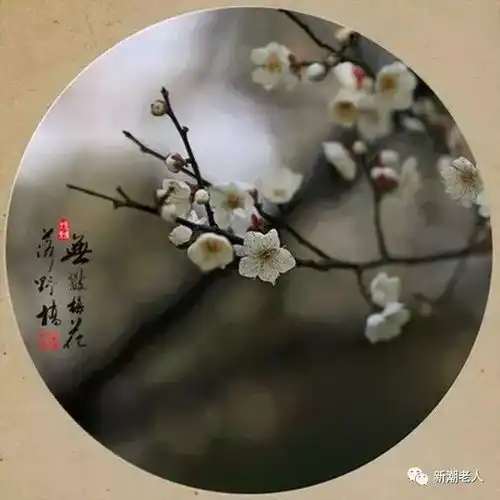 2018马上就要结束了,一切看淡,一切随缘吧