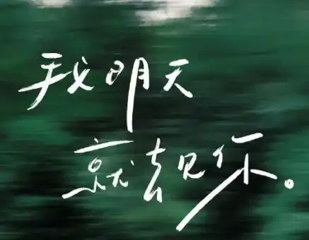 对一个人怦然心动的文案突然喜欢上一个人的说说