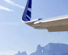 突遭鸟击,三处损伤均超手册标准青岛航空沉着应对25分钟飞机安全落地